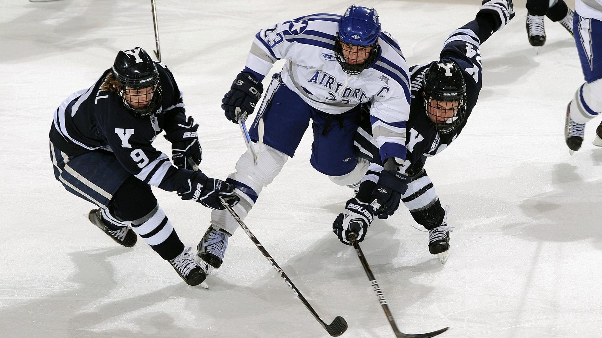 体育焦点新闻全景式报道,体育新闻专题报道